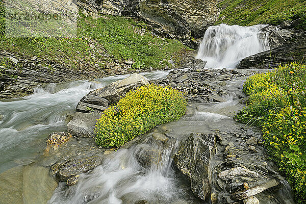 Wasser fließt auf dem Gebirgsbach Col de l'Iseran  Nationalpark Vanoise  Frankreich