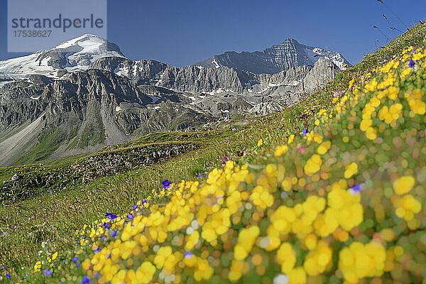 Schneebedeckte Felsformationen Grande Casse im Nationalpark Vanoise  Frankreich