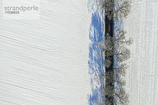 Drone view of snow covered field and treelined road in winter