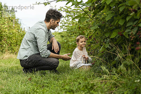 Vater spricht mit Tochter mit Korb im Obstgarten