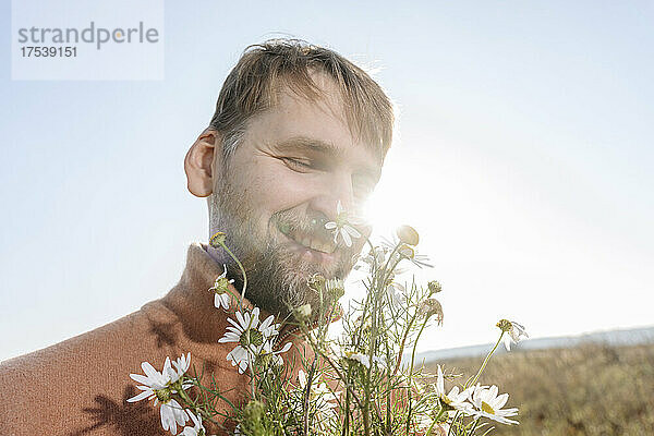 Smiling bearded man smelling chamomile flowers
