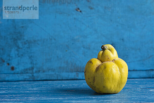 Studio shot of ripe quince lying on blue wooden surface