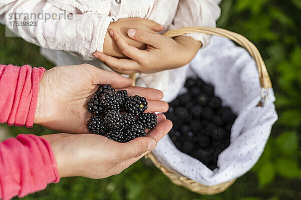 Woman holding blackberries in hand by daughter