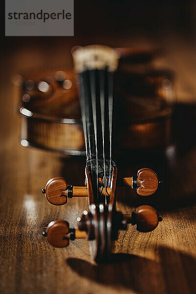 Studio shot of violin with focus on tuning pegs