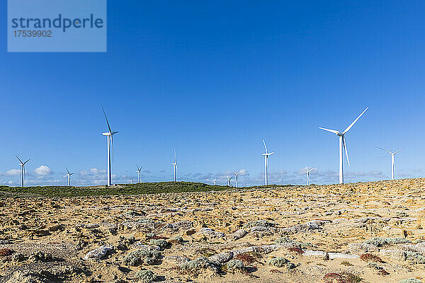 Australien  Victoria  Cape Bridgewater  klarer blauer Himmel über Windparkturbinen