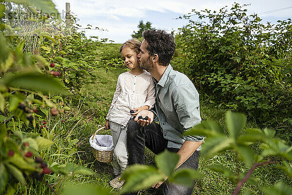 Vater küsst süße Tochter im Obstgarten