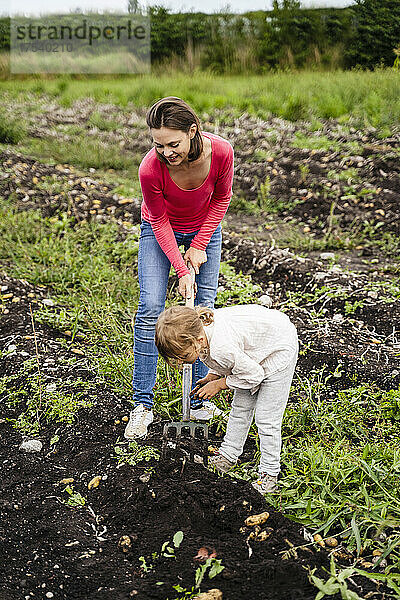 Tochter hilft Mutter bei der Ernte auf dem Feld
