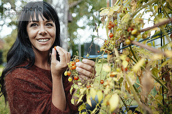 Happy woman picking fruit in backyard