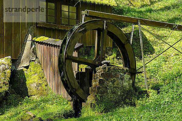 Germany  Baden-Wurttemberg  Bad Wildbad  Water wheel in Kurpark
