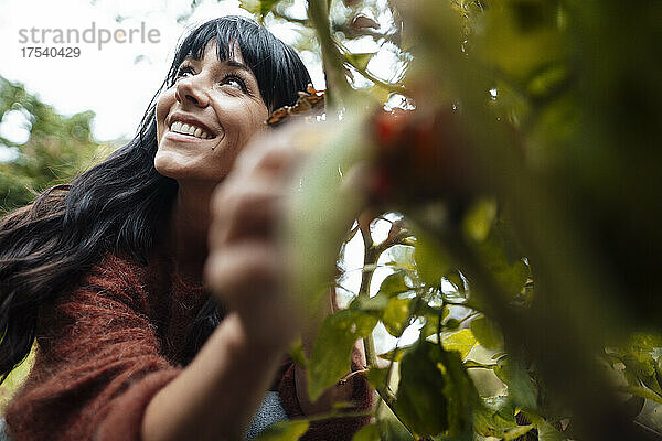 Lächelnde Frau pflückt Obst im Hintergrund