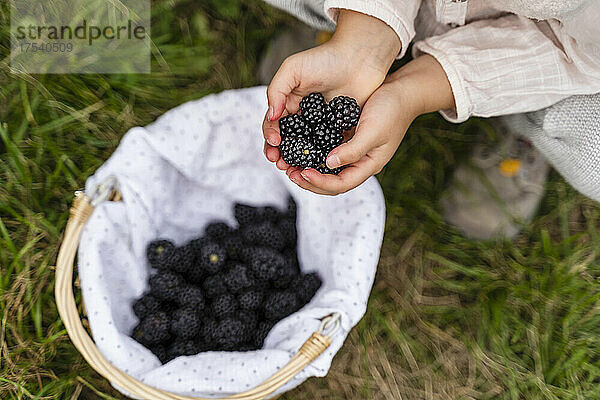 Girl with harvested blackberries in orchard