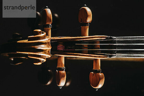 Studio shot of violin scroll and tuning pegs