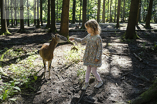 Girl feeding plant to deer in forest