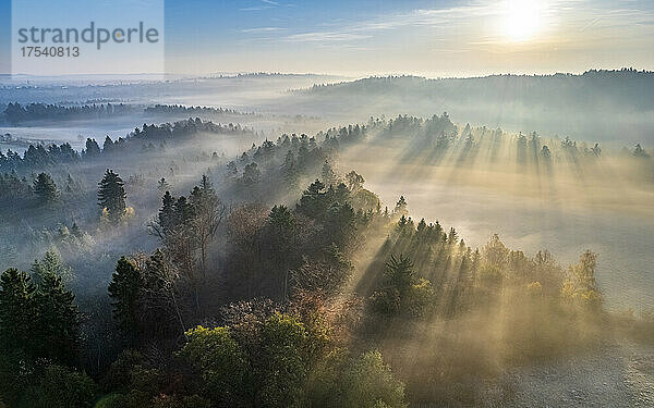 Drone view of sun rising over fog shrouded Welzheim Forest