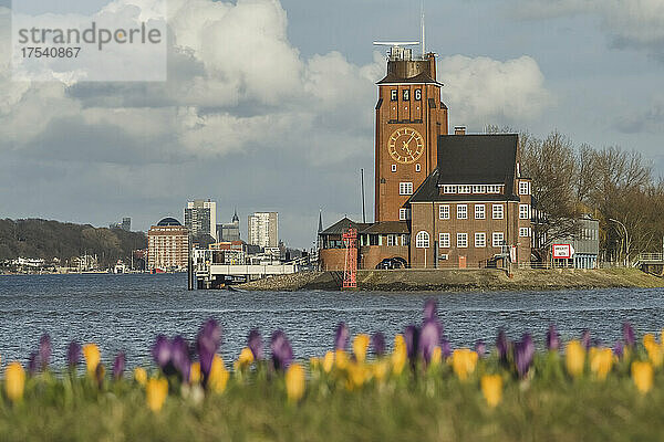Germany  Hamburg  Clock tower in Finkenwerder with blooming flowers in foreground
