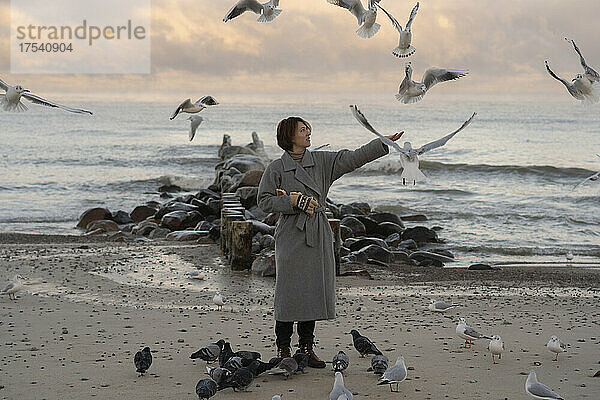 Woman feeding seagulls and pigeons at sunset