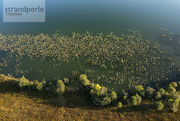 Drone view of green shore of Irrsee lake