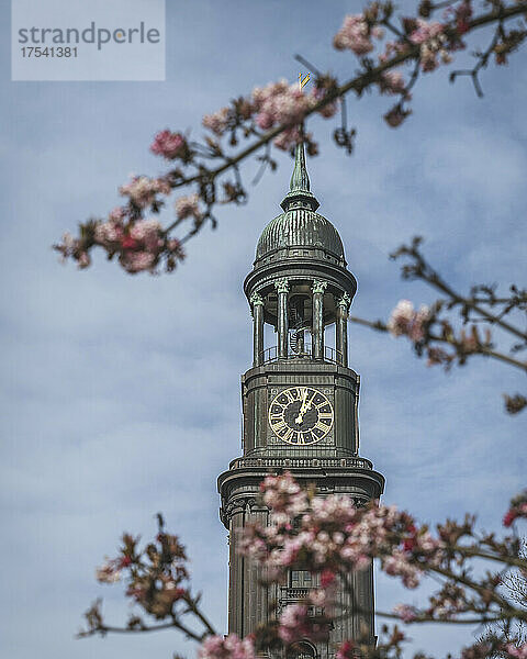 Germany  Hamburg  Saint Michaels Church bell tower with cherry blossoms in foreground