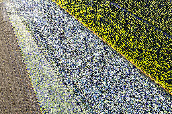 Drone view of plowed fields in Remstal