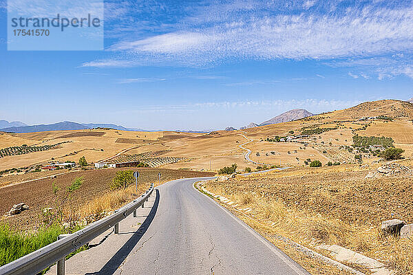Leere Straße durch Feld auf dem Land in La Joya  Andalusien  Spanien  Europa