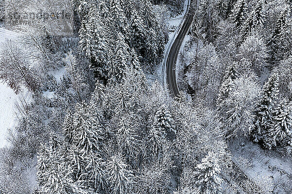 Drone view of road stretching through snow covered forest