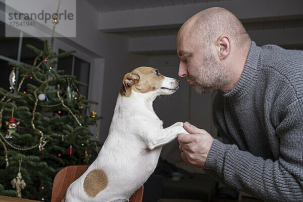 Mann hält Pfoten eines Jack-Russell-Terrier-Hundes zu Hause