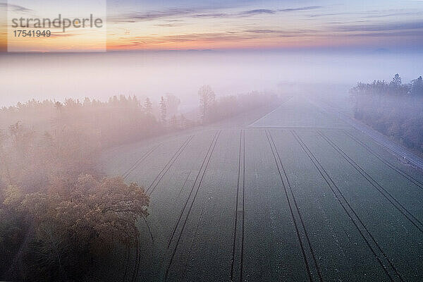 Drone view of countryside field shrouded in morning fog