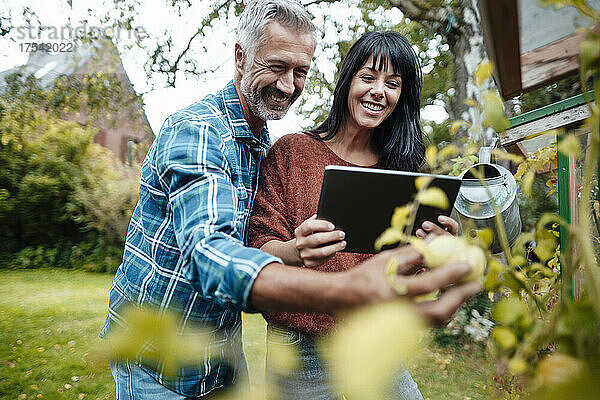 Smiling man picking fruit by woman with tablet PC in backyard