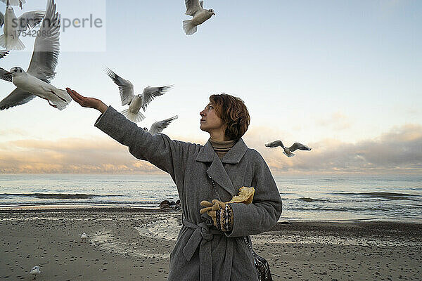 Young woman in overcoat feeding seagulls at beach
