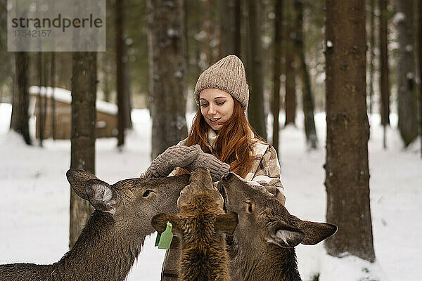 Woman feeding deer in winter forest on vacation