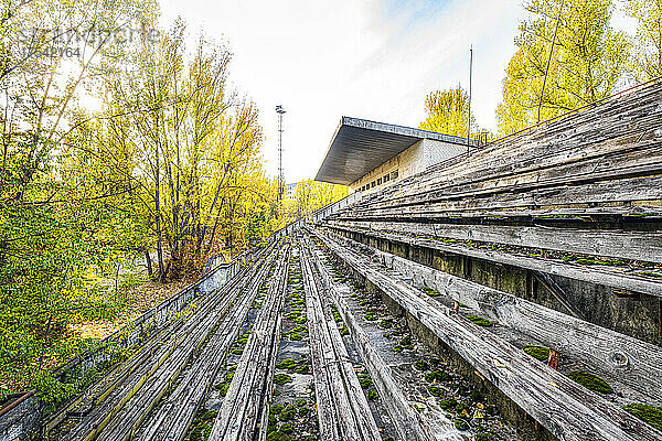 Ukraine  Kyiv Oblast  Pripyat  Wooden bleachers of abandoned Avanhard Stadium