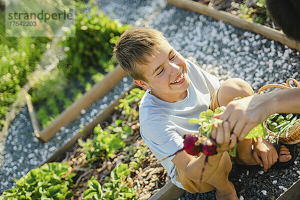 Mother's hand giving radish to smiling son at vegetable garden