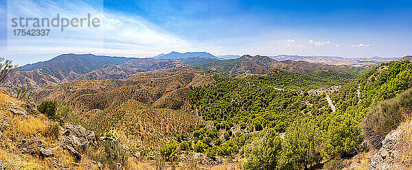 Andalusisches Tal auf dem Land an einem sonnigen Tag in Andalusien  Spanien  Europa