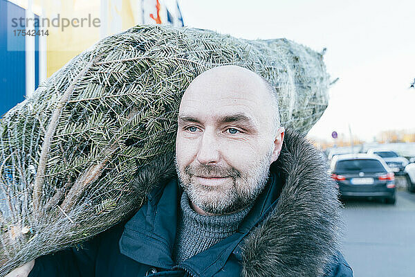 Smiling bald man carrying Christmas Tree