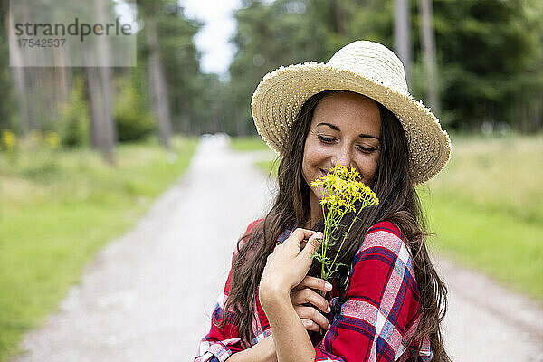 Lächelnde Frau mit Hut  die auf der Straße in Cannock Chase gelbe Gänseblümchen riecht