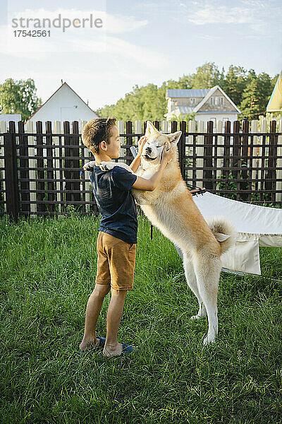 Junge spielt mit Akita-Hund auf Gras im Hinterhof