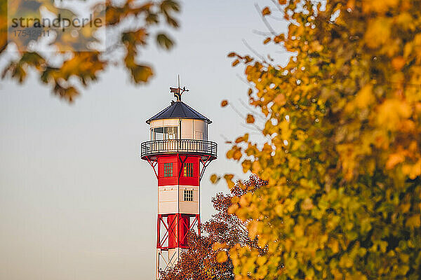 Germany  Hamburg  Wittenbergen Lighthouse with autumn trees in foreground