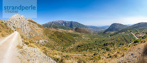 Leere Straße am Berg an einem sonnigen Tag  Andalusien  Spanien  Europa
