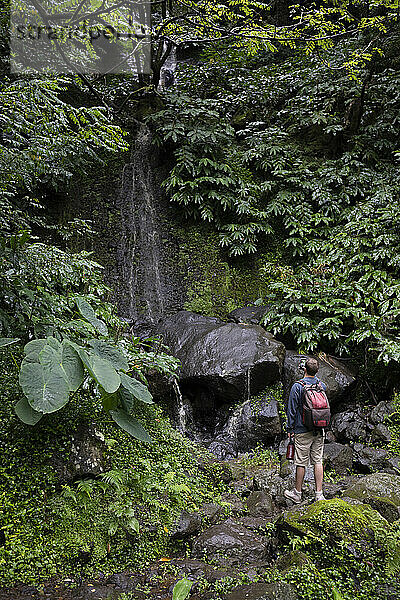 Male hiker admiring small waterfall in lush green forest