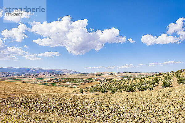 Wolken über Ackerland in der Nähe der Stadt Alhama de Granada in Andalusien  Spanien  Europa