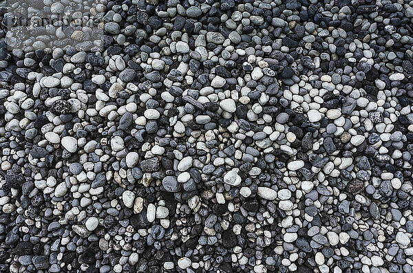 Am Strand häufen sich graue und weiße Kieselsteine