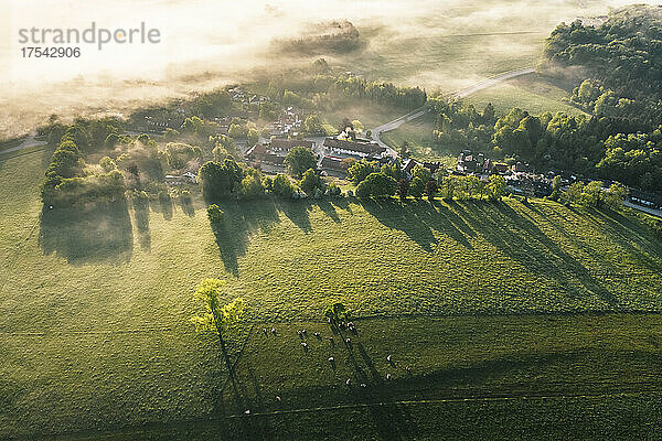 Germany  Bavaria  Berg  Aerial view of pasture and countryside village at foggy dawn
