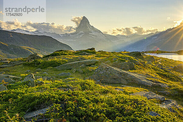 Wunderschöne grüne Landschaft mit dem Matterhorn im Sommer in Zermatt  Schweiz