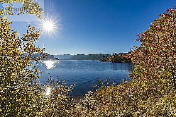 Im Herbst scheint die Sonne über dem Schluchsee