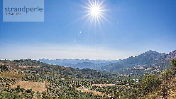 Sonnenschein über Hügeln und Bergen mit Olivenhainen in Andalusien  Spanien  Europa