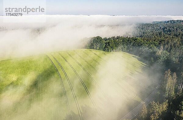Germany  Bavaria  Munsing  Aerial view of countryside field shrouded in morning fog