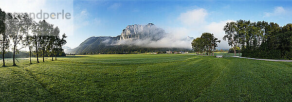 Morgennebel in der Nähe der Drachenwand im Mondseeland in Mondsee  Salzkammergut  Oberösterreich  Österreich