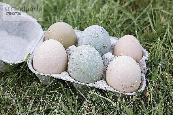 Eier aus Freilandhaltung im Karton auf Gras