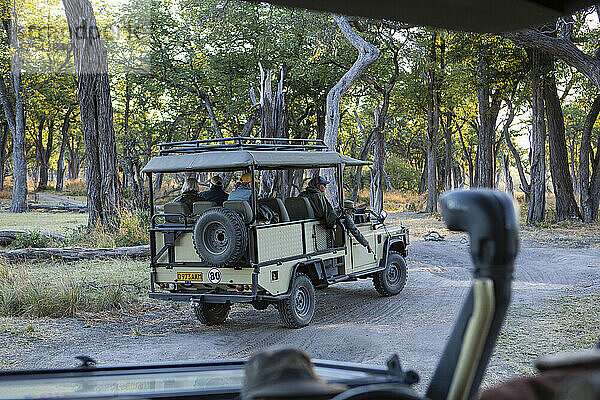 Ein Safari-Jeep  der bei Sonnenaufgang auf einem Pfad durch den Busch fährt.