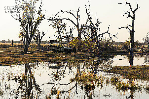 Landschaft des Okavango-Deltas  Bäume spiegeln sich im stillen Wasser